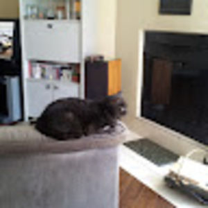 Meet your Posher, Jean-marc